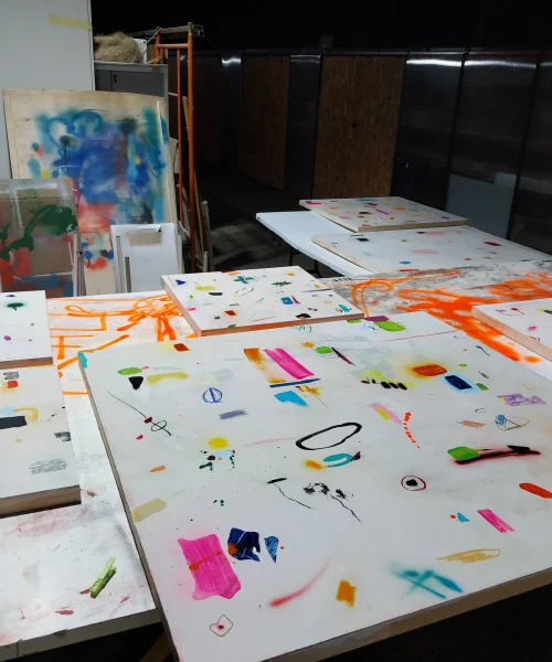 Manel-Canvas-Picture5_web